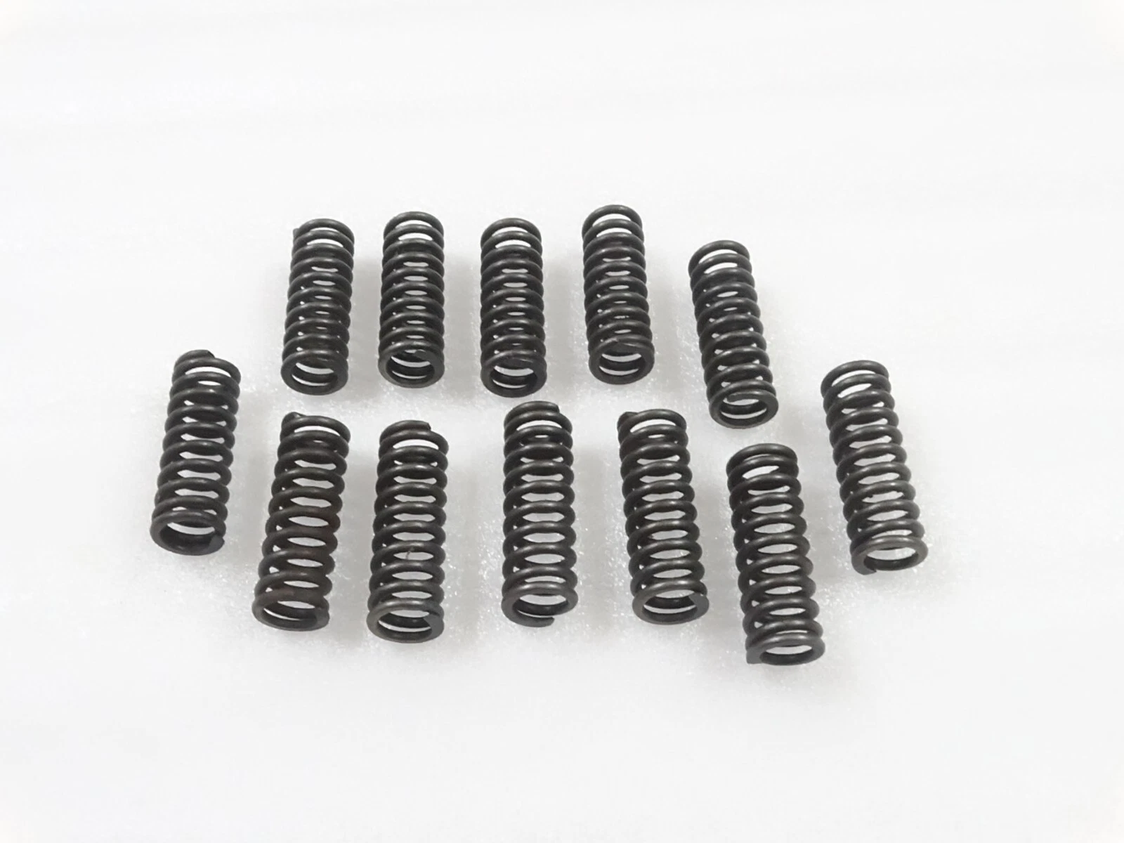 CLUTCH BEVELLING SPRING SET OF 12 For Massey Ferguson MF-135,165,175,185 #19-54
